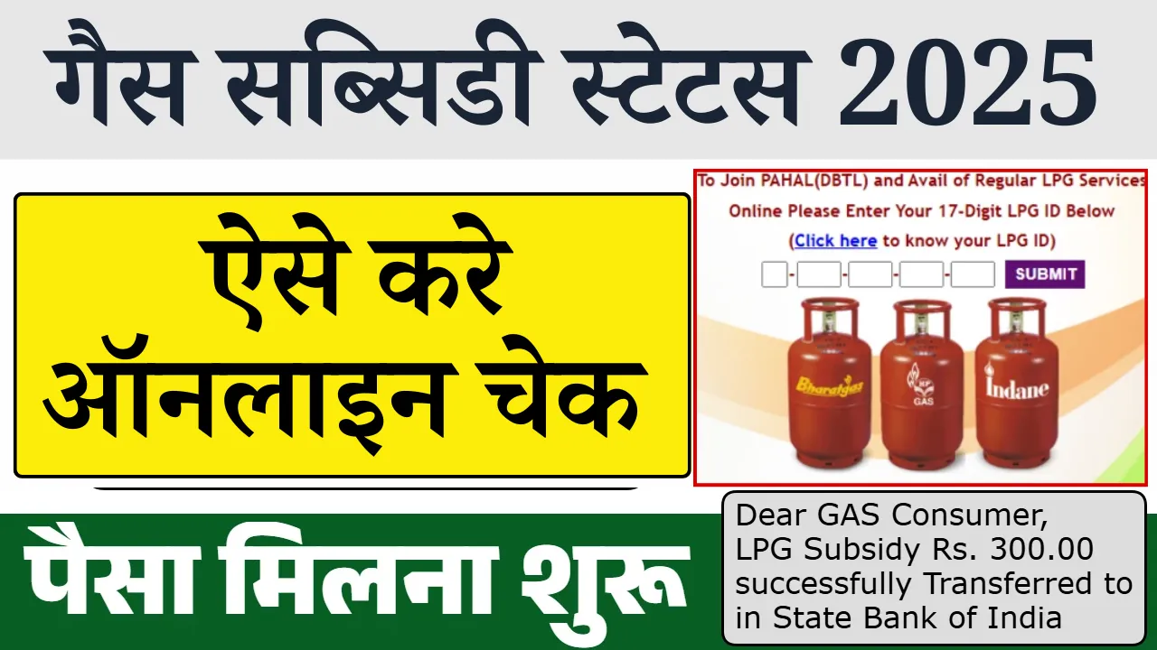 Gas Subsidy Status 2025